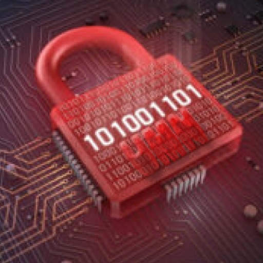 datadogs33's tweet image. Umntv.net