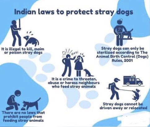 NarenKadian's tweet image. It is learnt that in Retreat complex, South city 1,Gurgaon, some residents are beating stray dogs &amp;amp; threatening to relocate them with help of MCG. If MCG is planning this they must stop as relocating strays is illegal. Retweet &amp;amp; help@DC_Gurugram @CommissionerMCG @Manekagandhibjp
