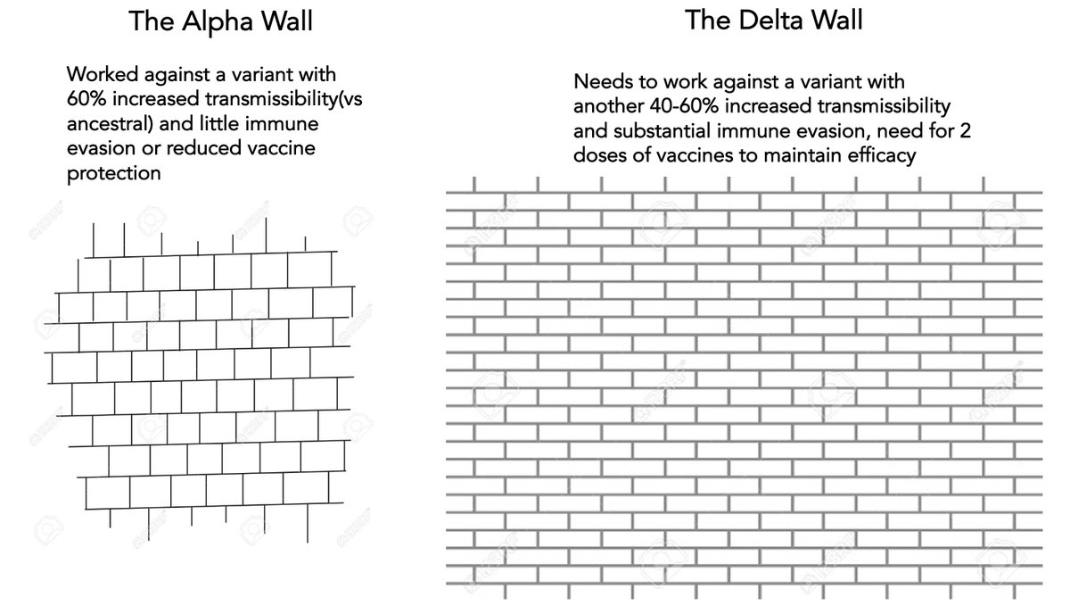 EricTopol's tweet photo. We need to build a Delta immunity wall through more vaccination: 47% Americans haven't even had 1 dose
—There has not been any counter-offensive to the anti-vaxx movement
—No statement by FDA about full licensure timeline (review should be done by now) and no coverage by media https://t.co/c4aL3mrrJE