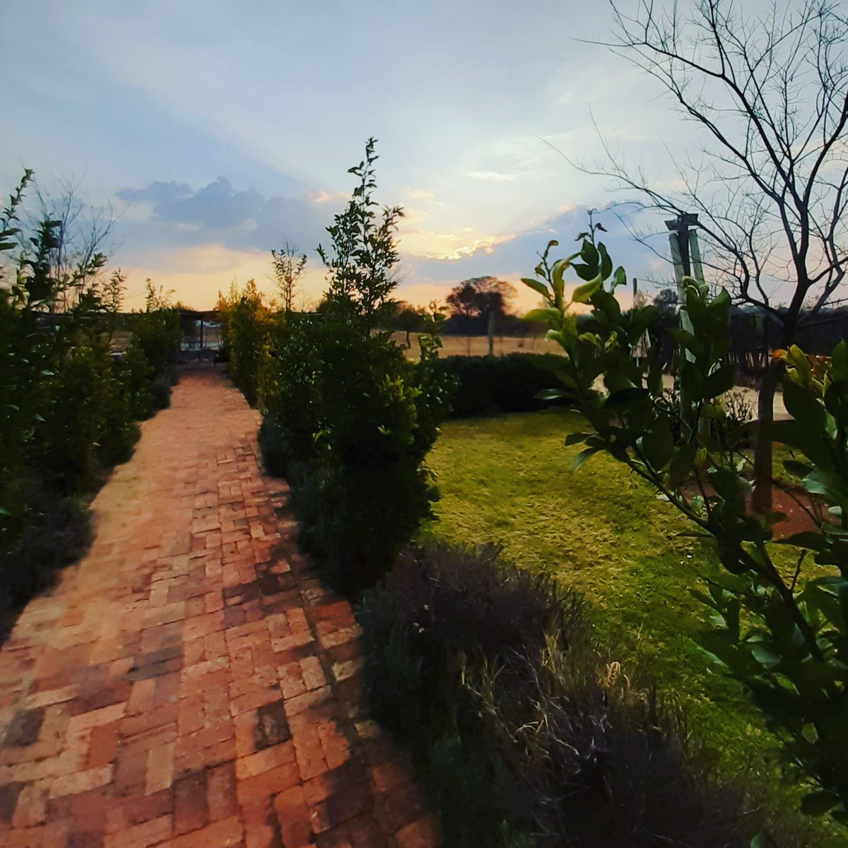 We have the perfect setting for the perfect Sunset... Hope you have booked your table for Father's Day tomorrow, space is limited due to Covid regulations?? If not WhatsApp us now, we only have a few spots left.