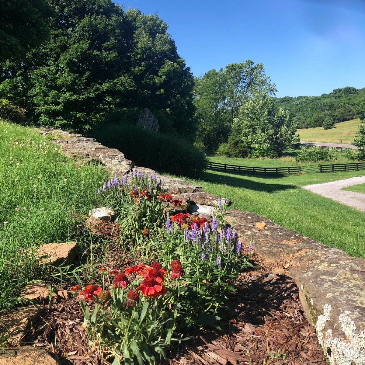 CarolHubbardAuthor (@hubbardauthor) on Twitter photo Winding up a week at the magical Rockvale Writers Colony in the beautiful green hills of Middle Tennessee. The incalculable gifts of inspiration, motivation, insight, and friendship I’ve received here will fuel me for a long time. #writing #writingcommunity <a href="/RockvaleWriters/">Rockvale Writers' Colony</a> Winding up a week at the magical Rockvale Writers Colony in the beautiful green hills of Middle Tennessee. The incalculable gifts of inspiration, motivation, insight, and friendship I’ve received here will fuel me for a long time. #writing #writingcommunity <a href="/RockvaleWriters/">Rockvale Writers' Colony</a>