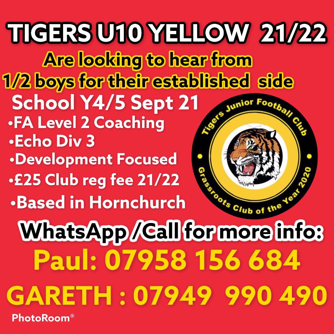 TIGERS JFC U9 YELLOW tweet media