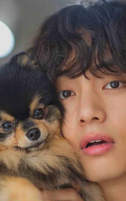 yeontanstwtacct's tweet photo. Happy Father's Day dad 🥺💜 https://t.co/Az9gU7Taqk
