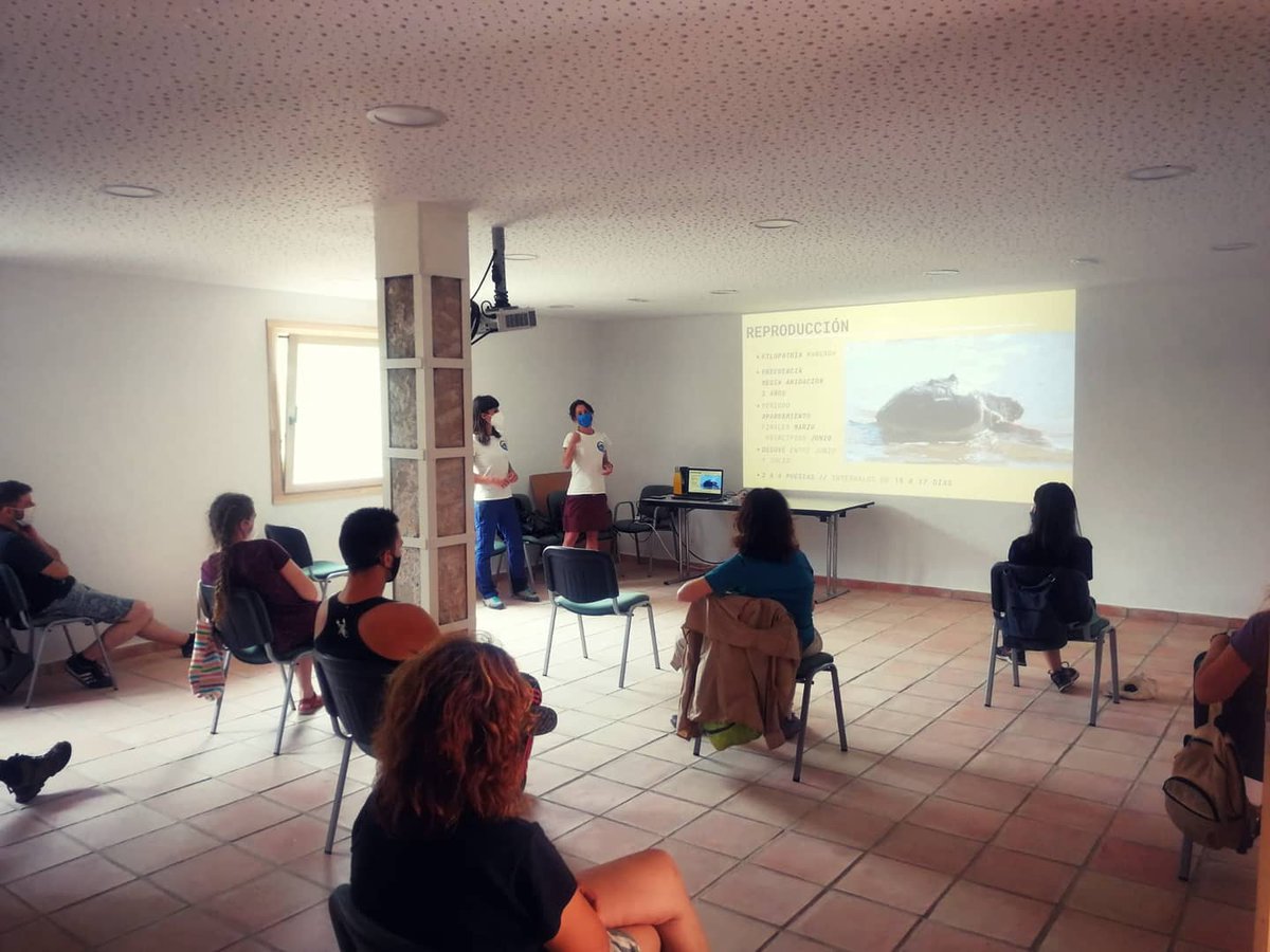 Durante la jornada formativa de rastreo🐾los voluntarios de @asociacioncalblanque han aprendido a interpretar huellas y rastros de fauna de las playas y dunas de @calblanquepr🐢🦎🪲🐛🦂🦊

#faunasilvestre #wildnature #europeanwildlife #voluntariado #territoriotortuga #cartagena