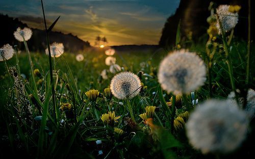 Postalesdecampo's tweet photo. #PostalesDeCampo 📸 https://t.co/Cjy0B5zPhc