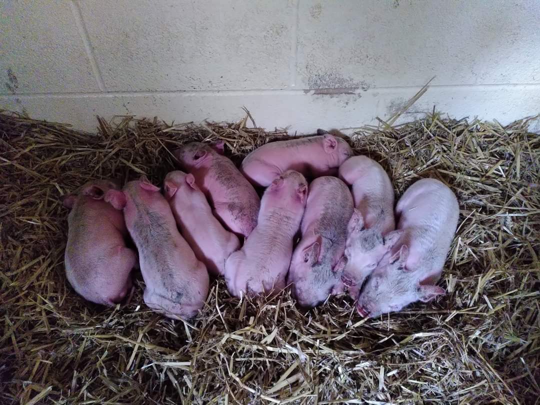 Safe forever ❤️❤️