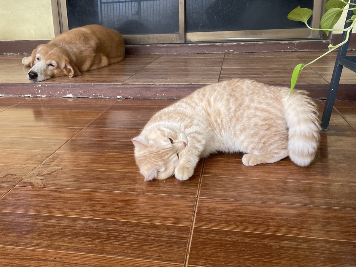 บีมกับน้องๆ tweet media