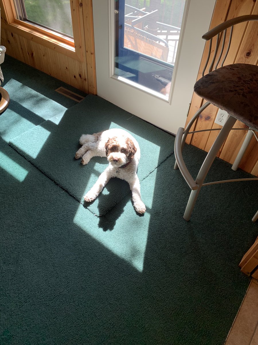 aspev33's tweet photo. Gotta find those sun spots @BarstoolBigCat https://t.co/6tjQHWdGEN
