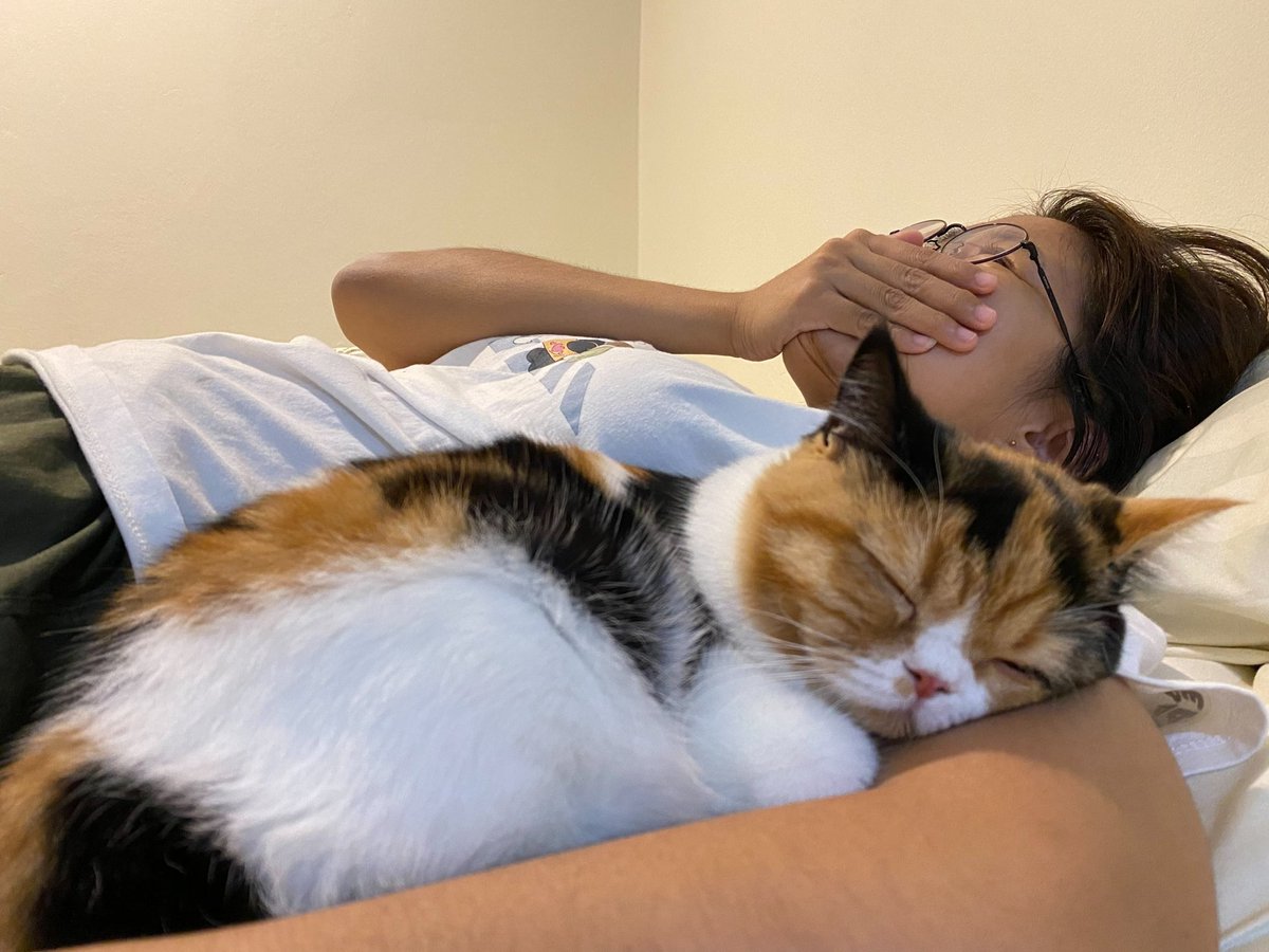 มันอ้อนนน มันมานอนซุก กุอุดปากกรี๊ด 🥺🥺🥺🥺 (แต่อย่าถือสาพุงเราได้มั้ยเพิ่งกินข้าวเสดอะ)