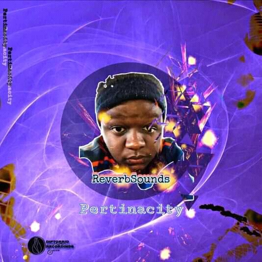 ReverbSounds SA tweet media