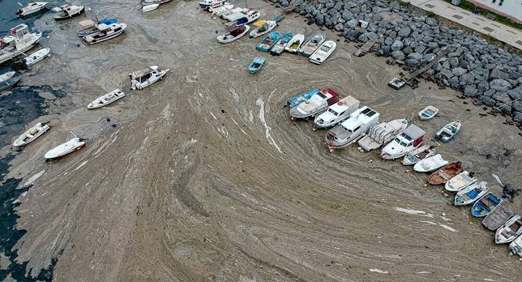 Toprağına bunu yapanın, denizine farklı davranacağını mı düşünüyordunuz??
