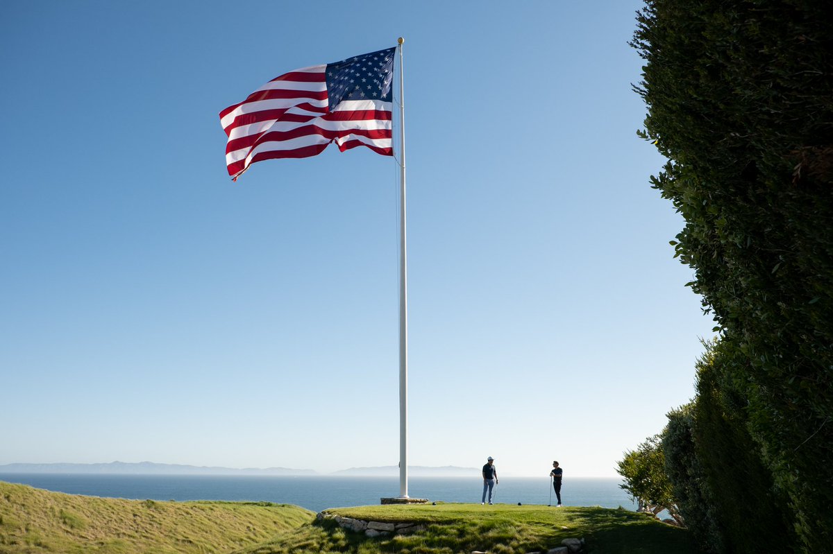 trumpstore tweet media