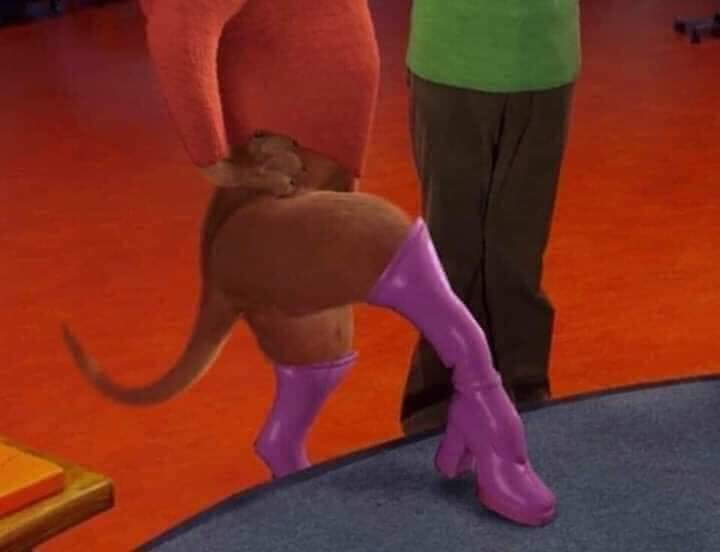 𝕽𝖔𝖓🖤 tweet media