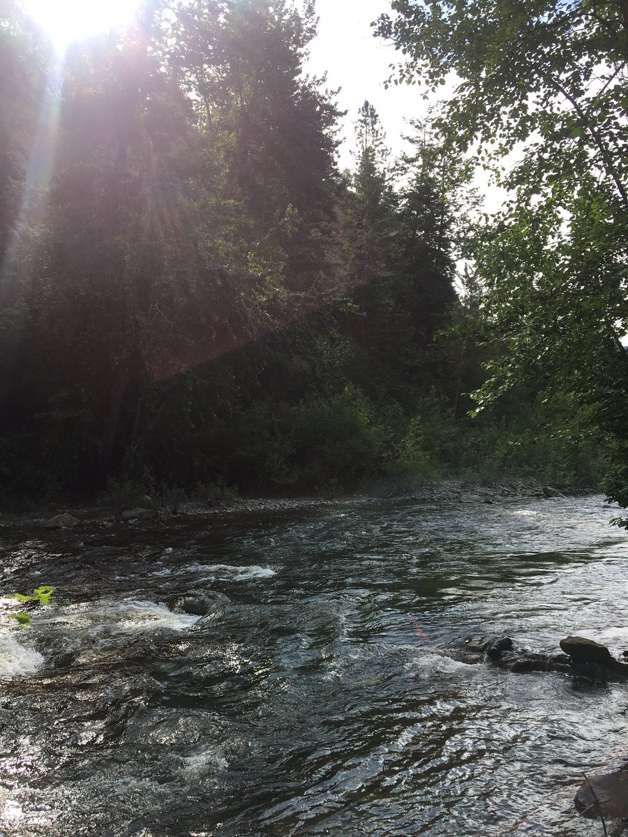 #naturelovers recharging weekend! 🌿🌲🍃