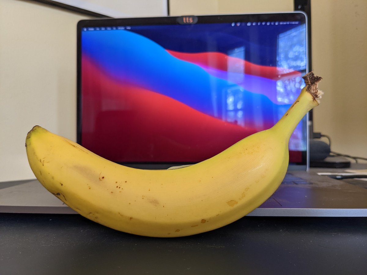BananaForScale tweet media