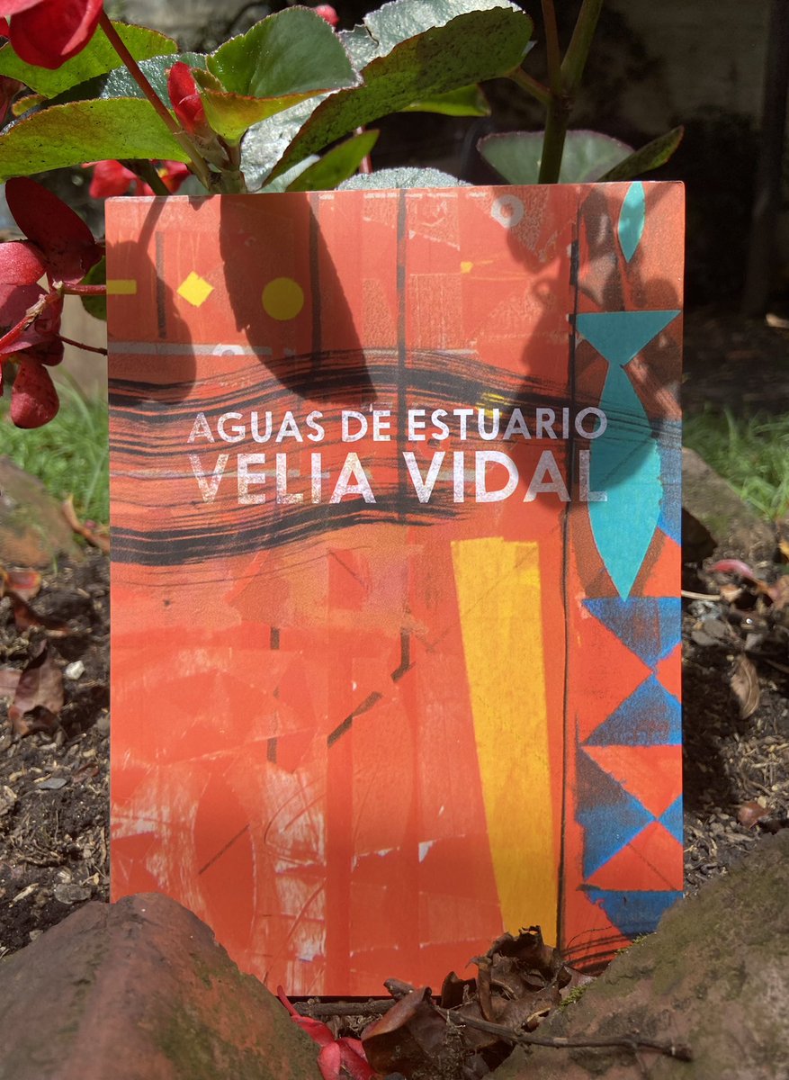 Con elementos de su entorno elabora metáforas que dan cuenta de su marea interna y las tensiones entre el centro y la periferia.
Club del Fuego Secreto con <a href="/veliamares/">Velia Vidal</a> <a href="/Julianadelaurel/">Juliana Muñoz Toro</a> hoy a las 4 pm por FacebookLive.
Encuentras Aguas de estuario en 🌊 libreriacasatomada.com/libro/aguas-de…🌊