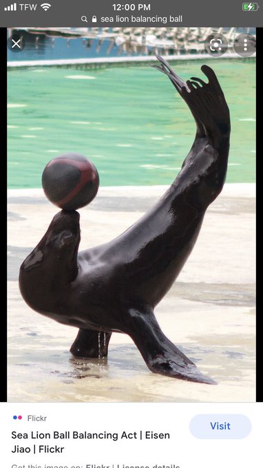 Me when I&rsquo;m camming https://t.co/9Wu7g7O6Tv<a href="/tag/exhibitionist"class="tags"><span>#exhibitionist</span></a><a href="/tag/amateur"class="tags"><span>#amateur</span></a><a href="/tag/transisbeautiful"class="tags"><span>#transisbeautiful</span></a><a href="/tag/transproblems"class="tags"><span>#transproblems</span></a>