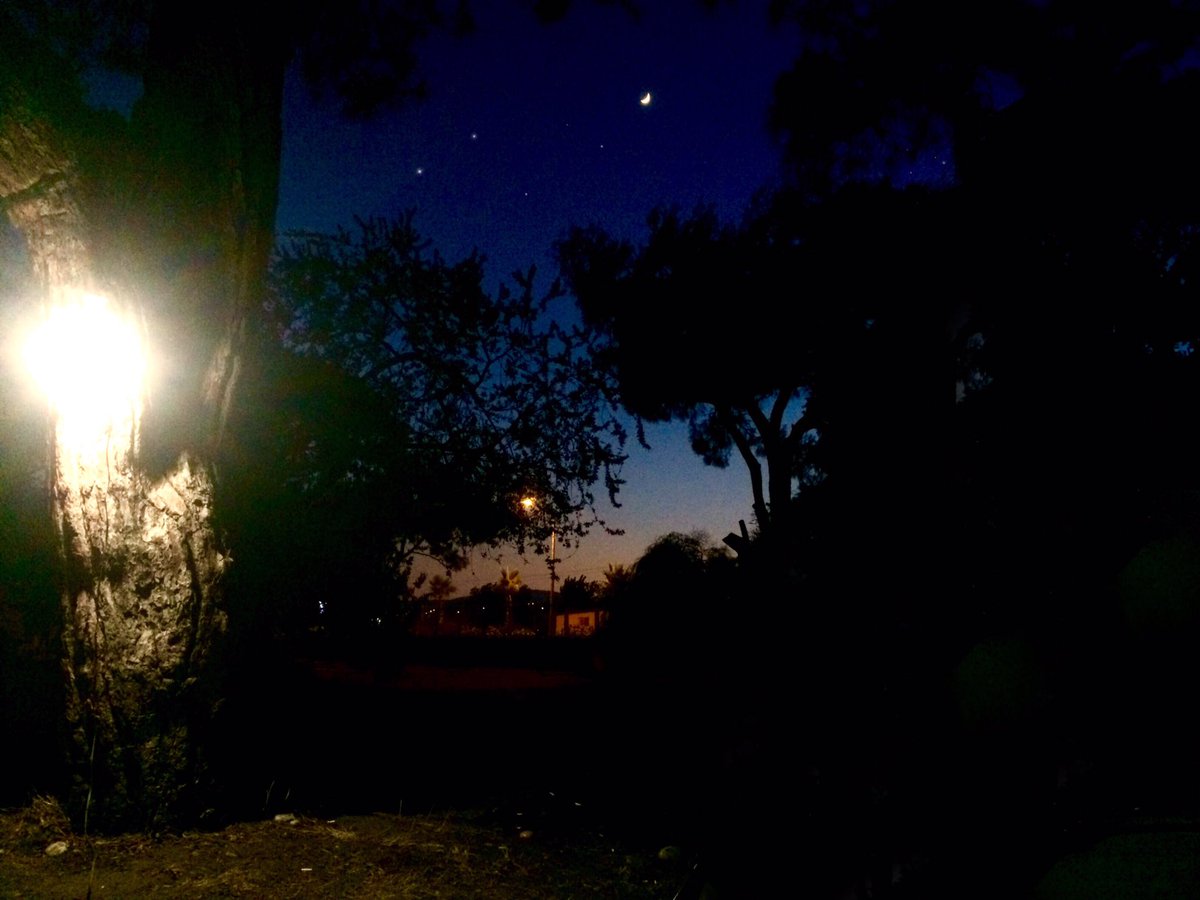 || Yazın ilk kampı 🏕