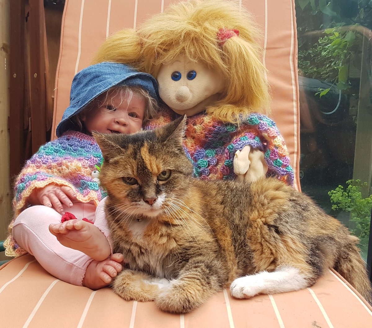 FelixEnPardijn's tweet photo. Gezellig met de #meiden op de stoel. Het past allemaal wel! #Caturday https://t.co/vFClSIMG6u