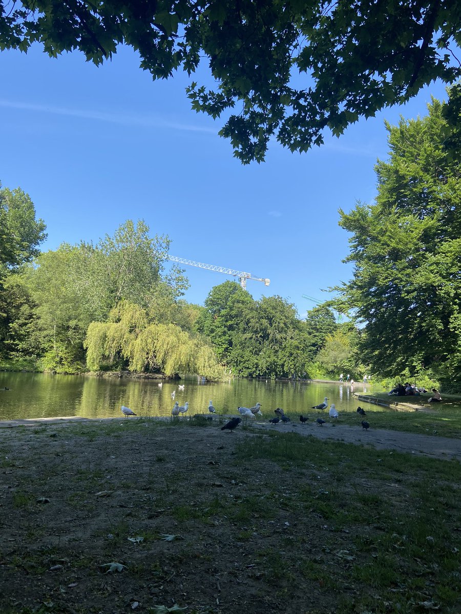 xAlexFierro's tweet photo. Picnic https://t.co/tJSi1esjaN
