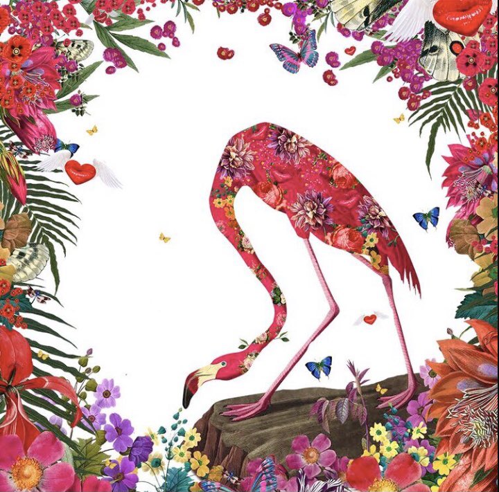 dimensionscf's tweet photo. Pink Flamingo by @krovblit1 @krovblitland 

⚡️mixed media collage⚡️

#art #artists #mixedmediaart #mixedmediacollage #homedecor #interiordesign #artcollectors #RiversideTO https://t.co/hjFSkYJ6j4