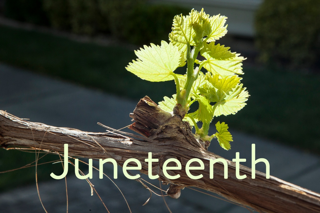 Wonderful to see that Juneteenth will now be celebrated all over this land!