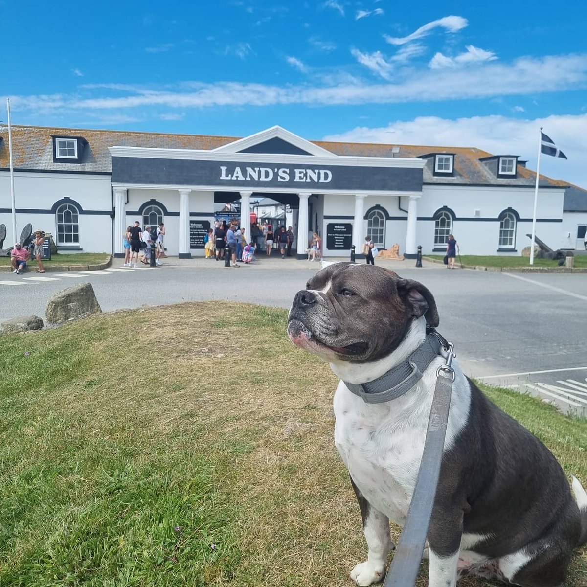 traceyrogers37's tweet image. Day at Lands end #exploringcornwall #MakingMemories❤ #holidays #hudson