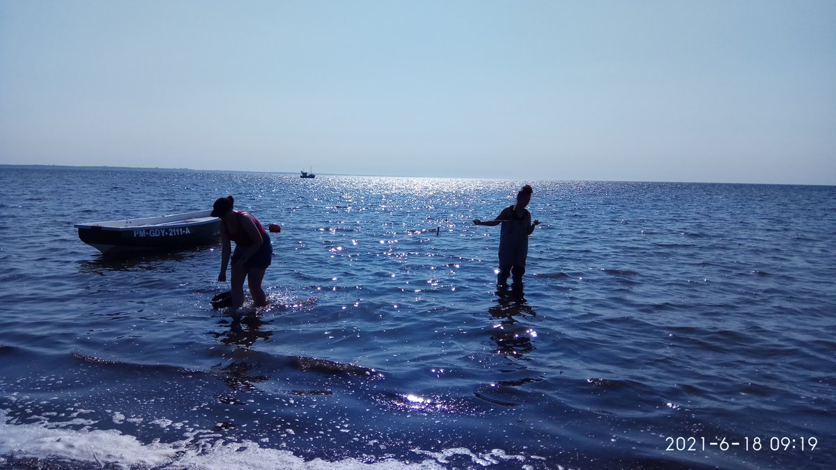 ArcticSgd's tweet photo. SGD sampling in Swarzewo
#eeanorwaygrants #ncn #balticsea #instituteofoceanologypolishacademyofsciences #submarinegroundwaterdischarge #environmentprotection #science #chemistry https://t.co/HWrr1s6Bkn