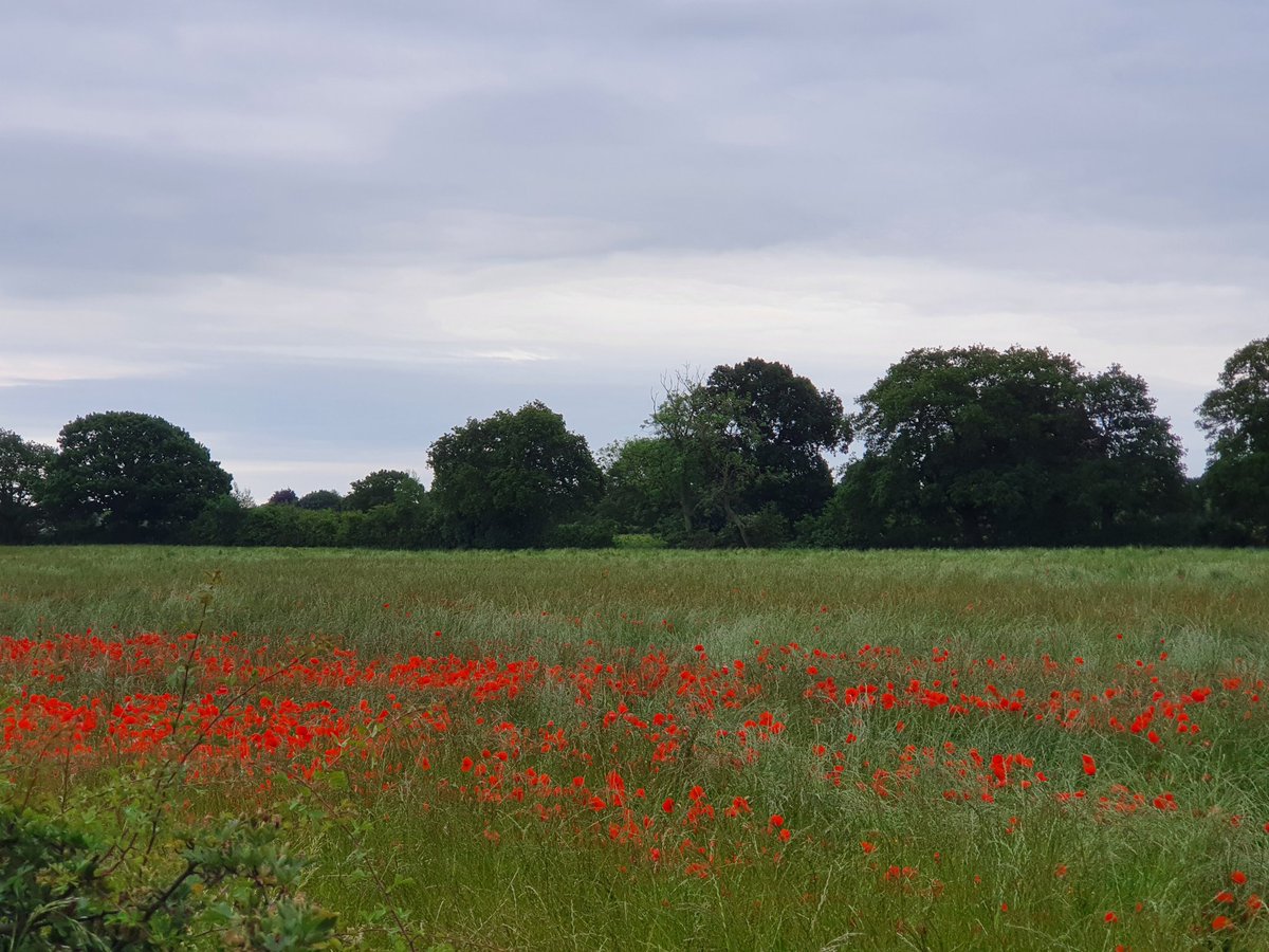 Not a bad view from the #homeoffice 😍