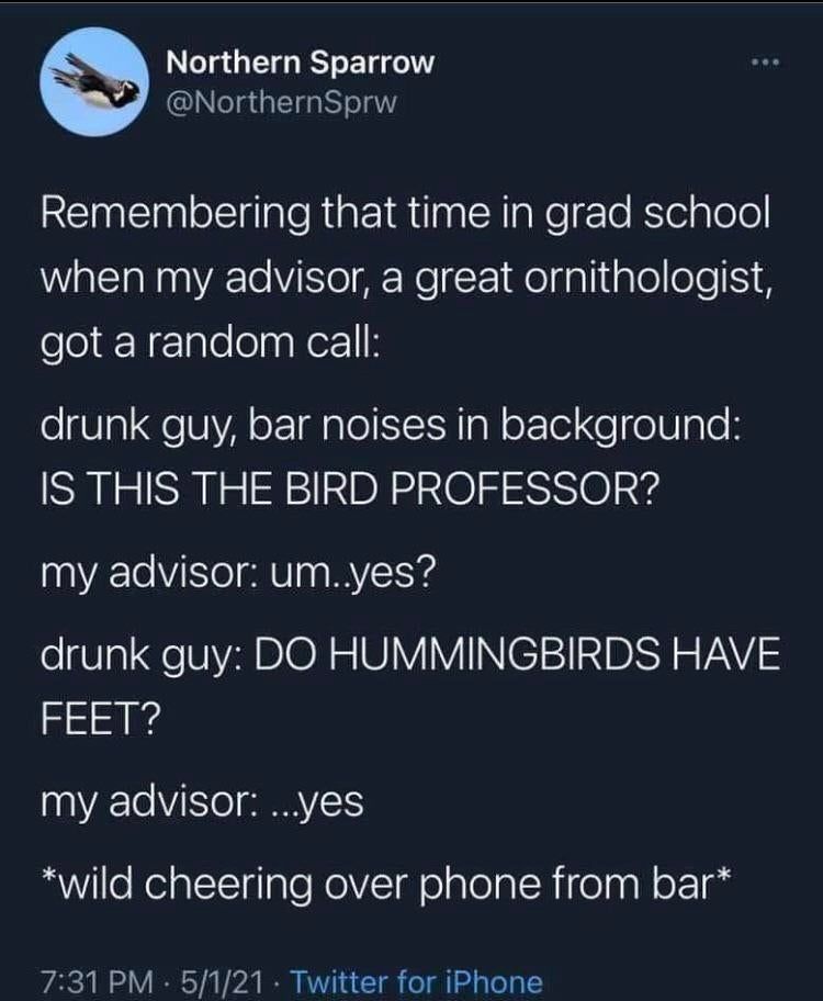 Uplifting Content Bird Professor Ftw Wholesome Wholesomememes Memes Cute Wholesomemes Meme Wholesomememe Inspiring Upliftingcontent T Co Tfaxsz13dl