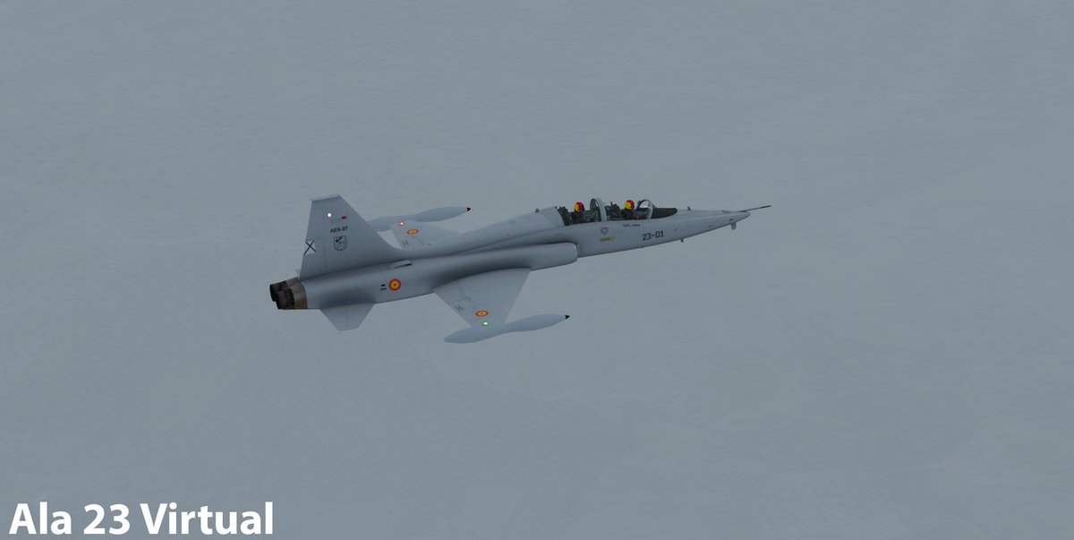 Ala23Virtual's tweet photo. Tarde de prueba de motores y emergencias en el aterrizaje #F5 #T38C #LEBZ #LPBJ @IVAOES @MilvizInc https://t.co/HBwWUPaaxD