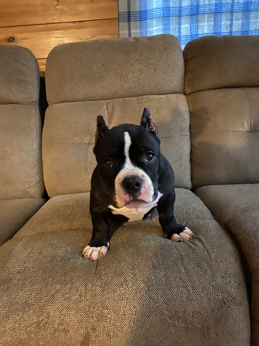 zwilly97's tweet photo. Lil Franklin meet the world https://t.co/wQ9blHb0lN