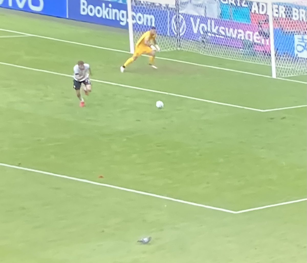 Le pigeon il tien mieux le couloir droit que Pavard #PORALL #PORGER #GERPOR