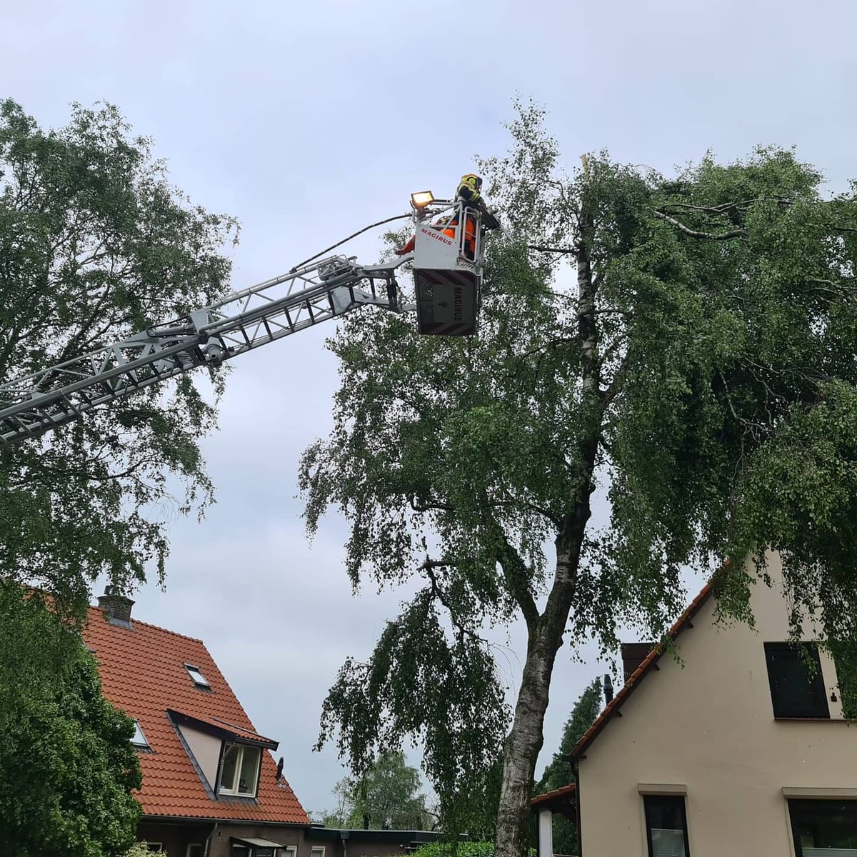 Werkzaamheden Leersum
 
📆 19-06-2021
🚨 Uitruk 68 
🚒 RV5252 
📍 Leersum
#vrijwilligers #brandweer #uitruk #doorn #samensterk