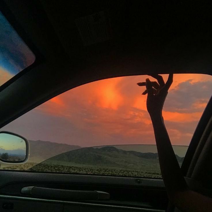Sunsets 🌅 tweet media