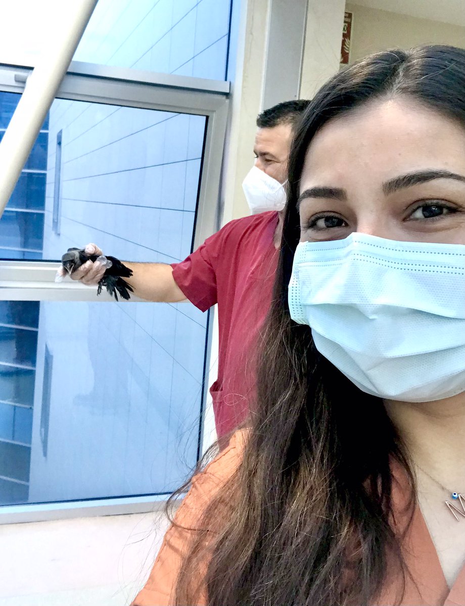 Aşının randevusuz olması davetsiz misafirleri de beraberinde getirdi.🤭 <a href="/drfahrettinkoca/">Dr. Fahrettin Koca</a>