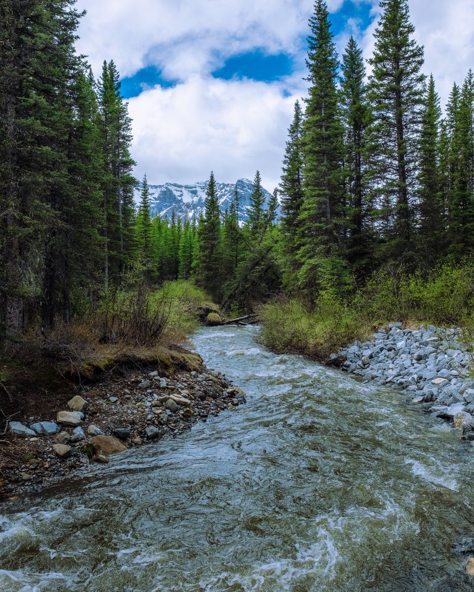 Peter Lougheed Provincial Park is such a beautiful park.  Taken near lower lake. 

<a href="/TourismCanmore/">Tourism Canmore Kananaskis</a> <a href="/Albertaparks/">Alberta Parks</a> <a href="/weathernetwork/">The Weather Network</a>