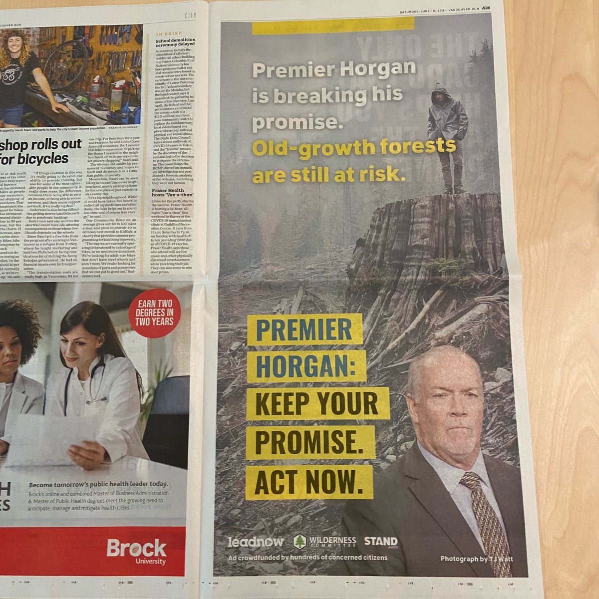 leadnowca's tweet image. Concerned citizens have crowdfunded this ad in the @VancouverSun today calling on you to fulfill your promise to protect old-growth @jjhorgan @bcndp. Don’t stand by as they are cut down. Defer logging of all at-risk old-growth now. #bcpoli #OldGrowth @standearth @wildernews