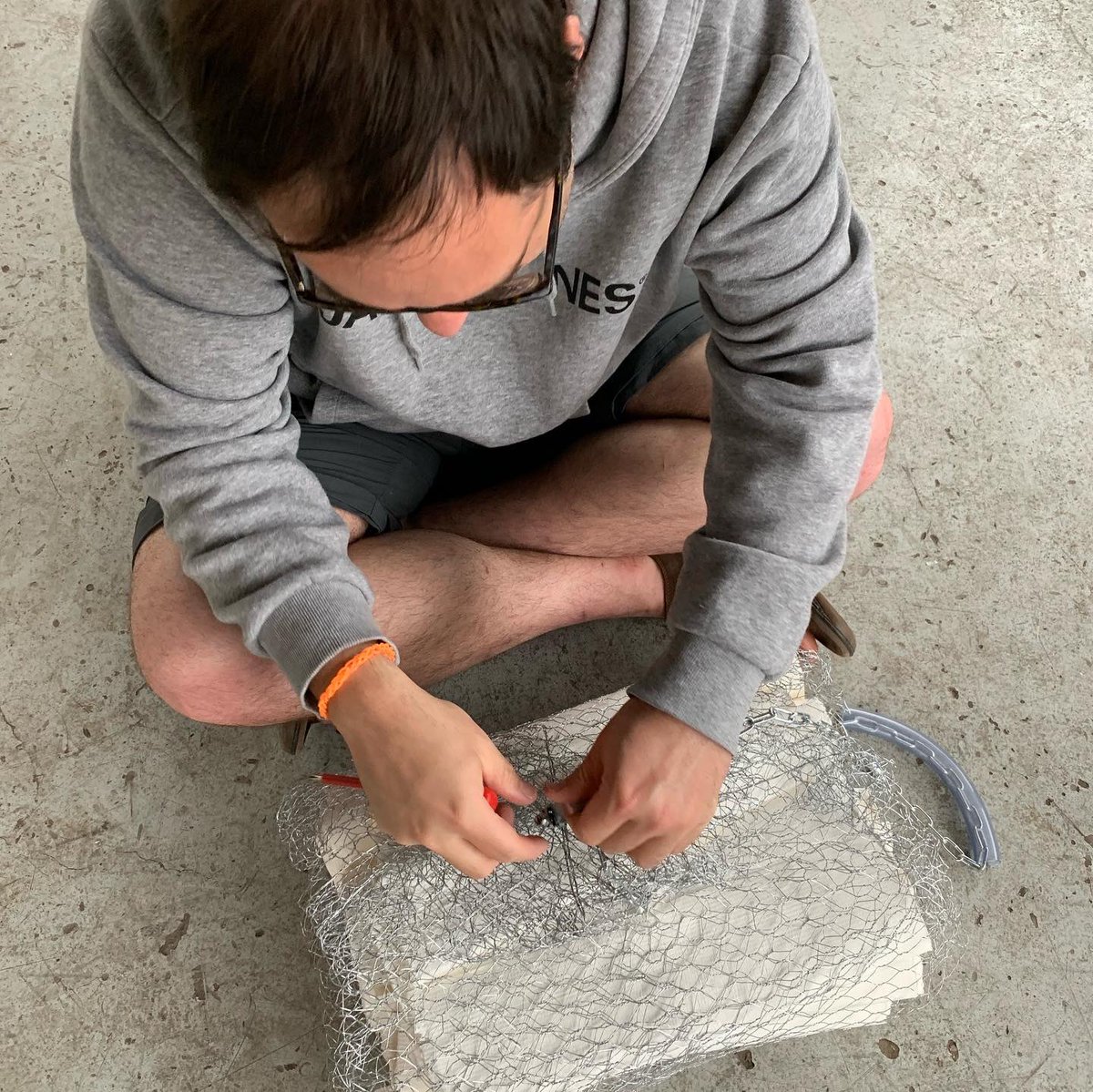 Noemí Rodríguez tweet media