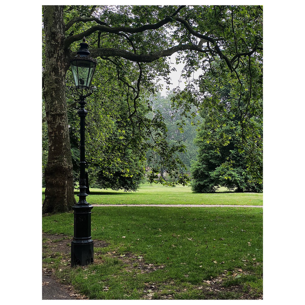Hello Green Park, it’s been a while. #londonparks #illustratorlife #Greenpark