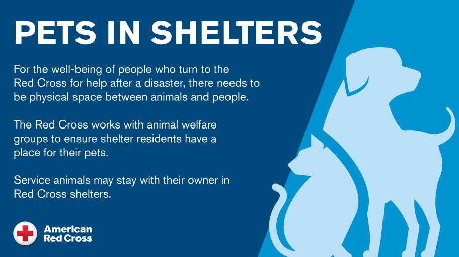 RedCrossAZ's tweet image. #BackboneFire-Wildfire evacuees are encouraged to take their pets to Rim Country Middle School at 304 S. Meadow Street, Payson, AZ 85541, near the Red Cross Shelter. Thanks to the @azhumane. #RedCross is here, providing shelter &amp;amp; comfort. For shelter info: rdcrss.org/3iTfjKZ