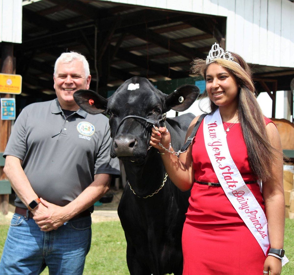 JosephAngelino's tweet photo. It was #DairyDay in #ChenangoCo. Lots of ppl, pretty cows, tractors & ice cold chocolate milk. I bumped into US @RepTenney & Assemblyman @JohnLemondes while making the rounds. Support our local farmers! @ChenangoCountyDairyPromotion https://t.co/qQcPRSEfgU