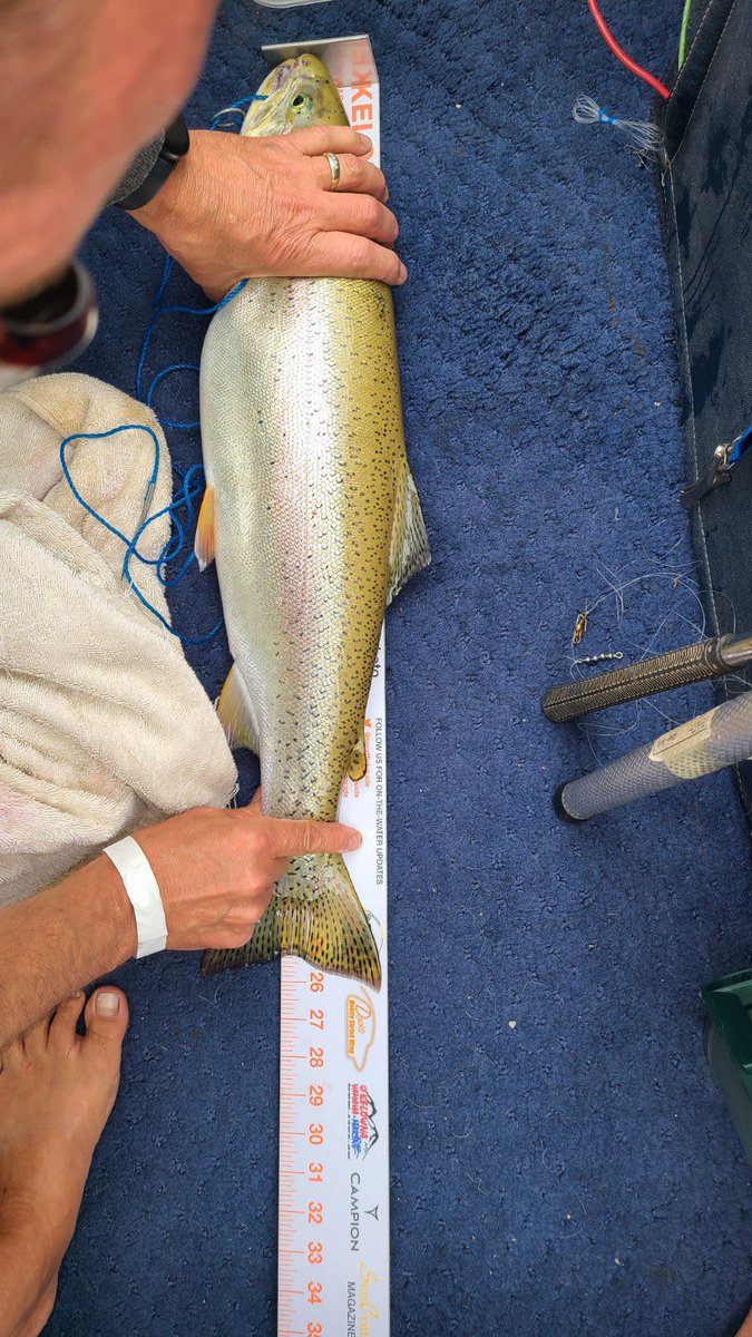 SportFishGuide tweet picture
