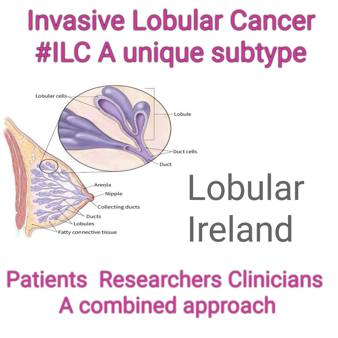 LobularIreland's tweet photo. Join with the International Lobular Breast Cancer Community for #Lobular2021 Virtual Conference on Thursday and Friday 23/24 June
23rd #PPI Orientation  
Moderator Siobhán Freeney @BreastDense
Register https://t.co/tfK7EhQjDg
#LivingWithLobular #ILCResearch https://t.co/oWZbNdGAp5