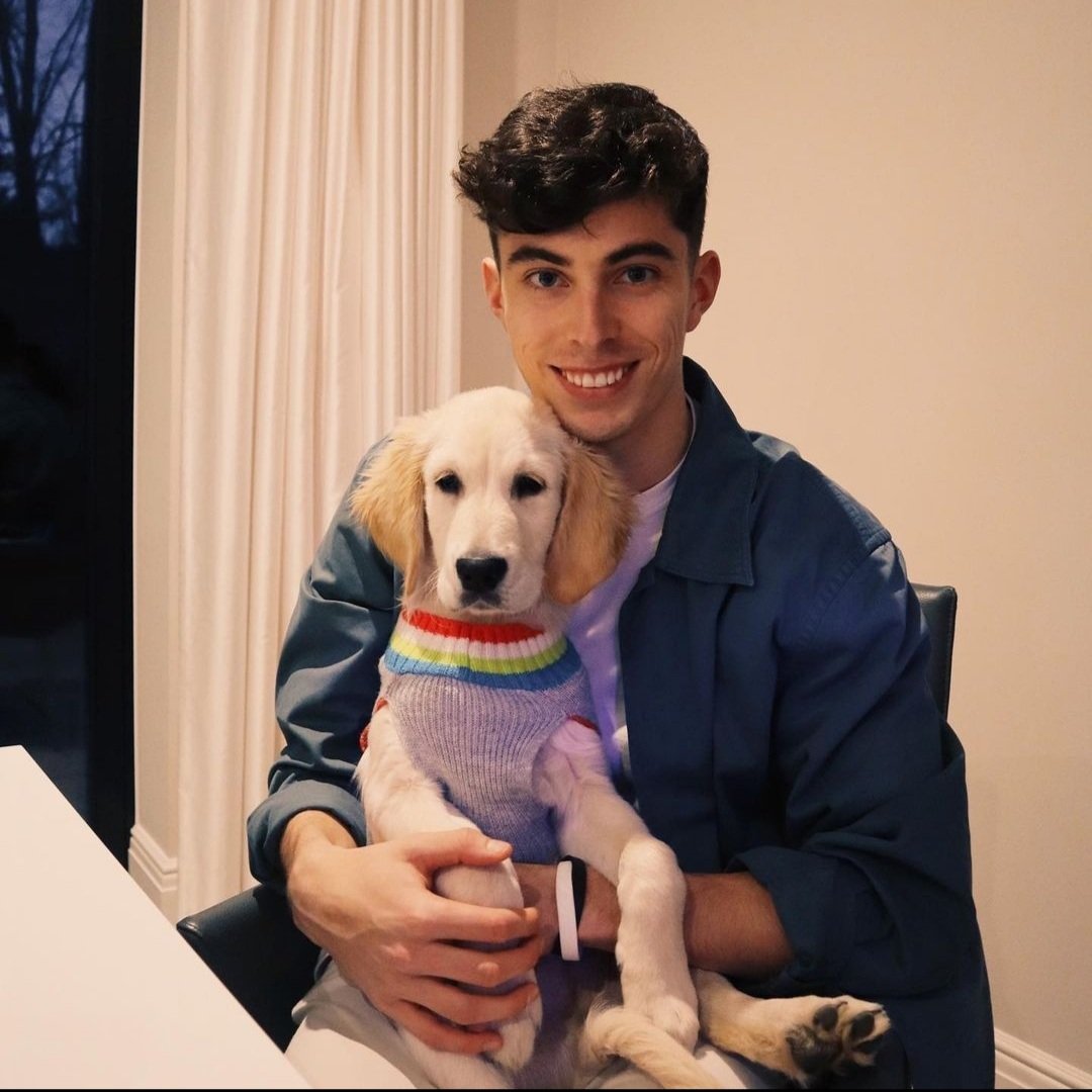 ahmad_mhmd_'s tweet photo. les différents animaux de compagnie de Kai Havertz https://t.co/Nl03MrlReo