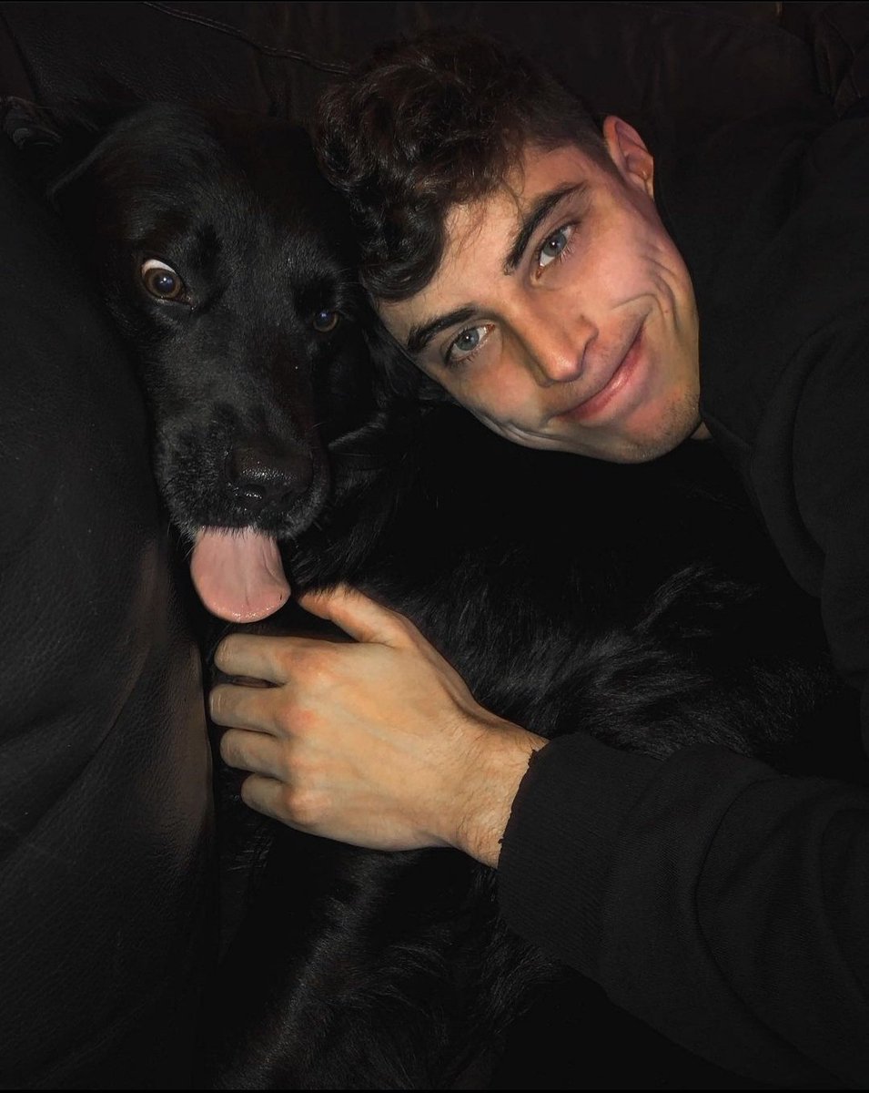 ahmad_mhmd_'s tweet photo. les différents animaux de compagnie de Kai Havertz https://t.co/Nl03MrlReo