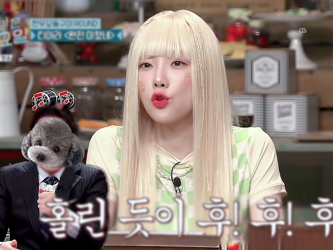 봄빛 tweet media