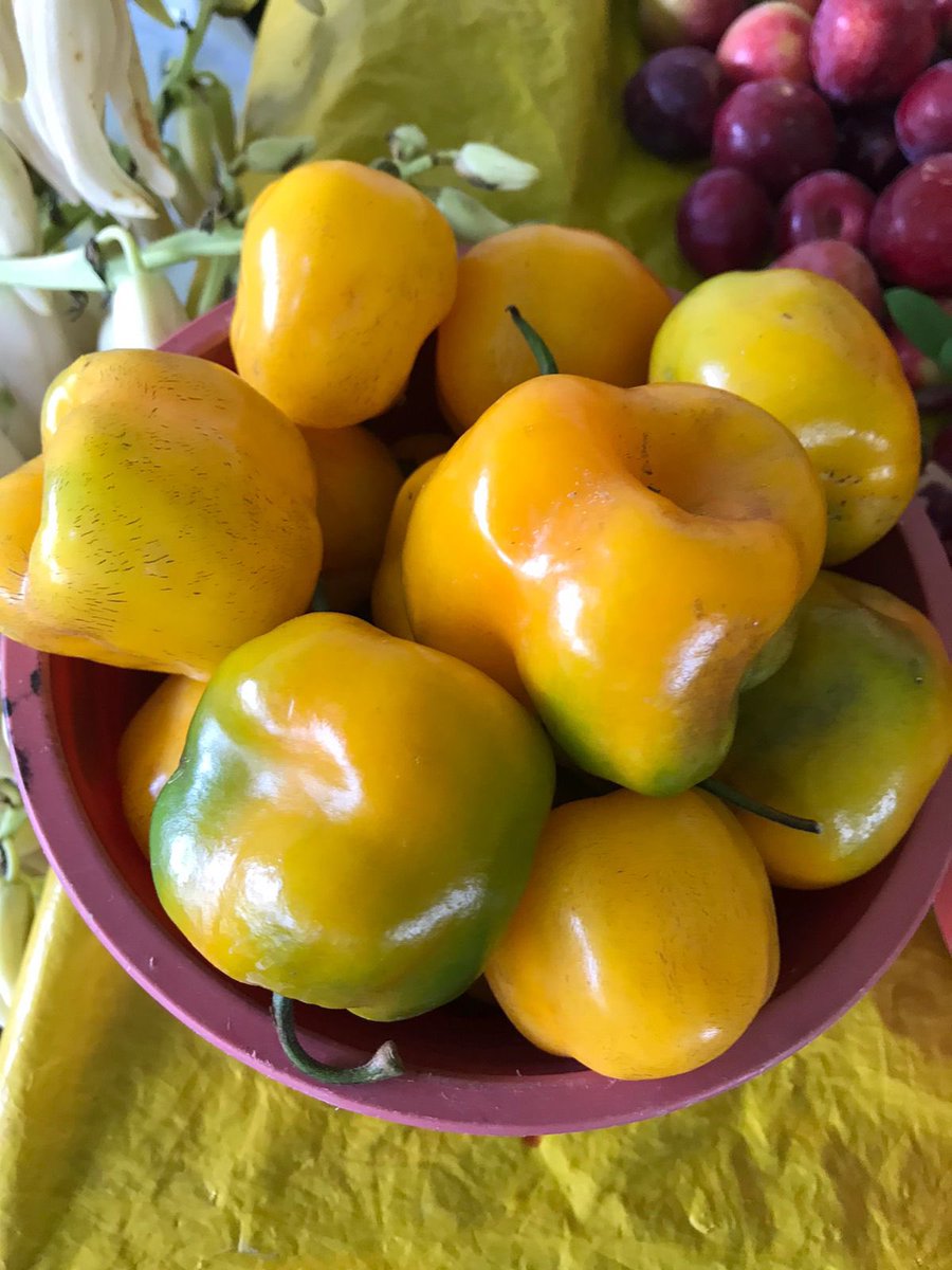 cadena_ceron's tweet photo. Los esperamos hoy y mañana en el campo deportivo de Ahuacatán, Jalacingo, con motivo de la Expo Agro Jalacingo 2021 Cultura y Sabor. ¡Consumamos Solidariamente! https://t.co/r2sfBZrzE2