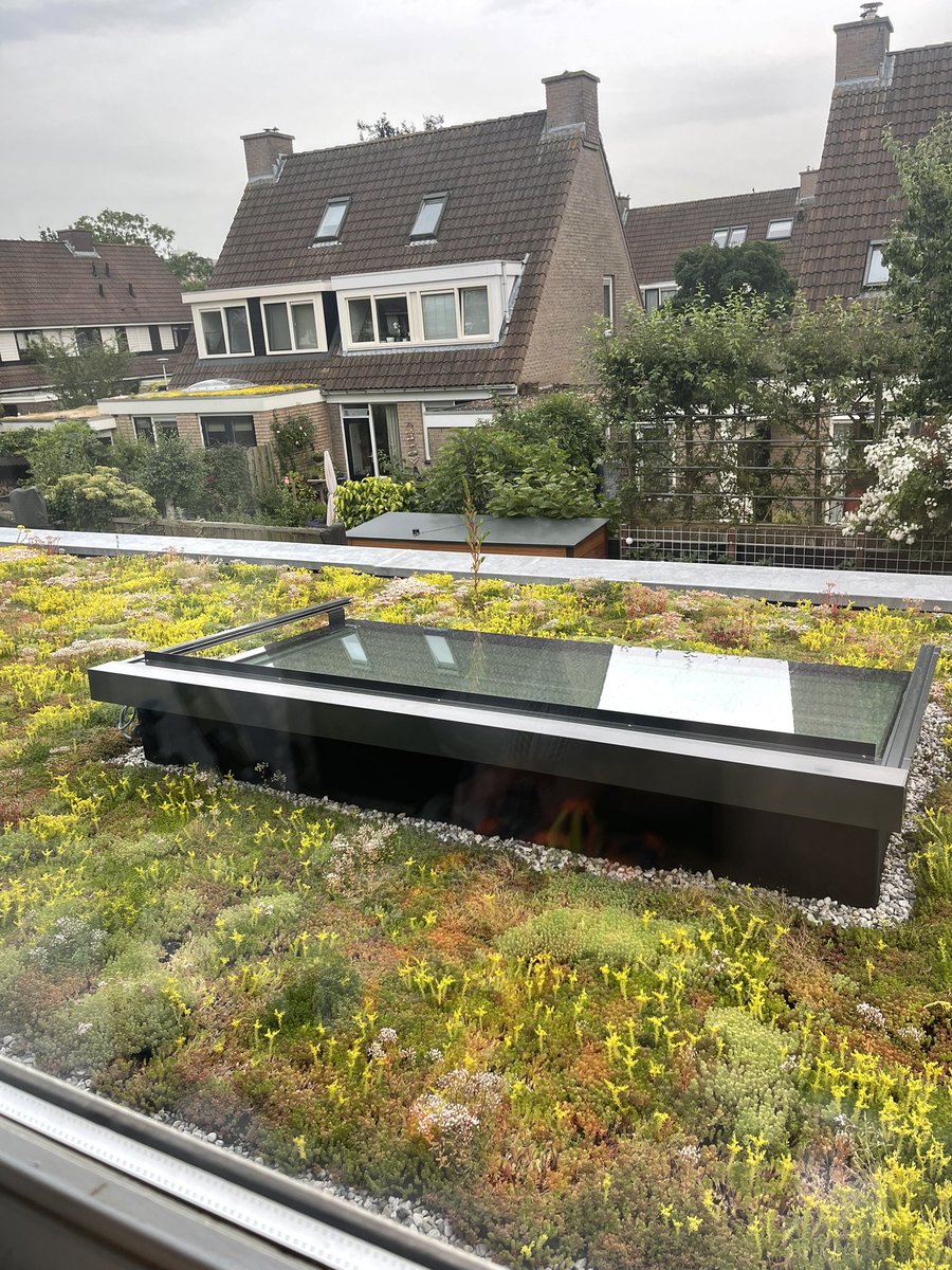 Groen dak doet het goed 🌱☘️🌾