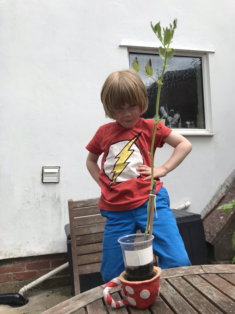 LauraBowcutt's tweet photo. @SomersPark1ER J is very proud of his plant’s progress! He wanted to show you! https://t.co/mfPReWest4